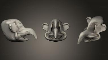 3D model Elephant On Parade (STL)